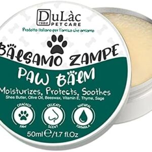 Diy Paw Cream For Dogs